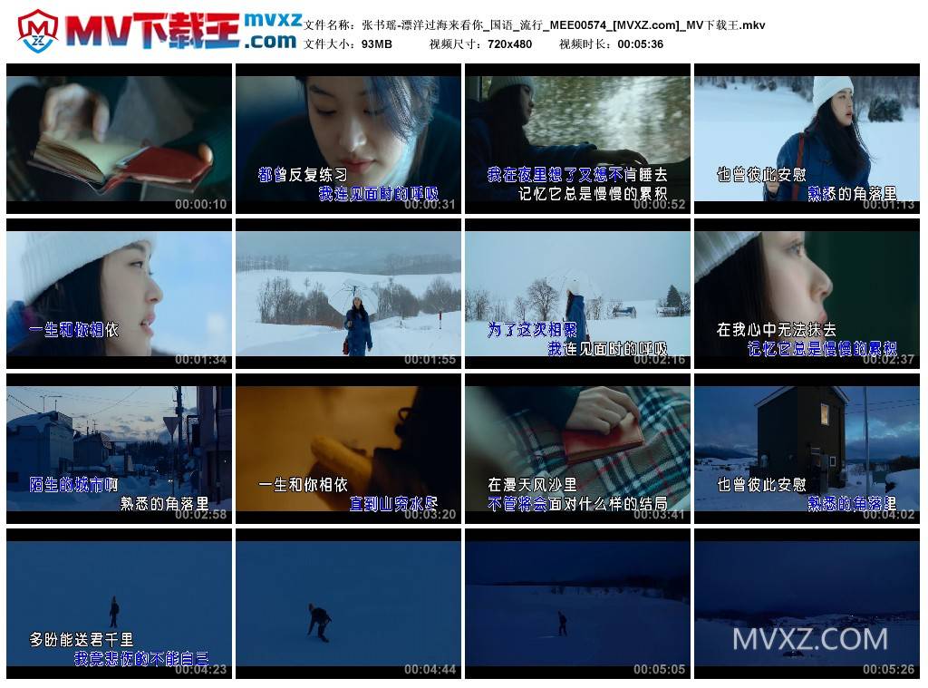 张书瑶-漂洋过海来看你_国语_流行_MEE00574